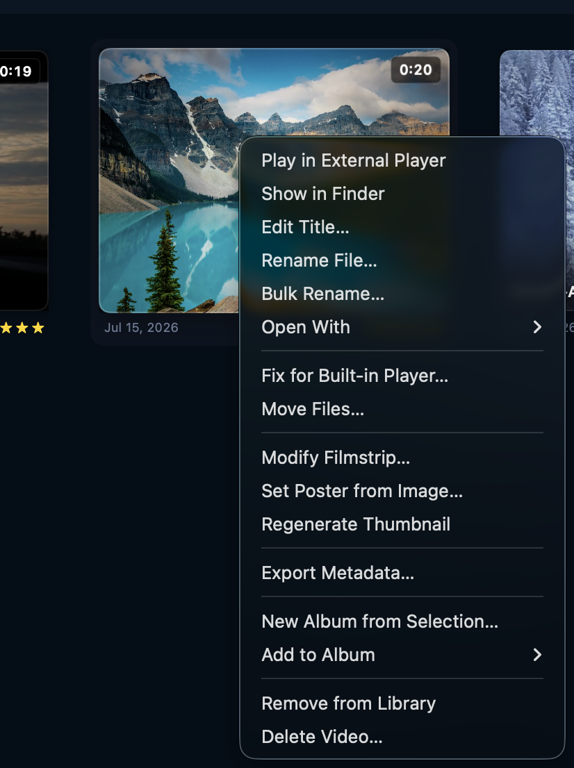 Skagway context menu with Bulk Rename…, Move Files…, Fix for Built-in Player…, and Set Poster from Image…