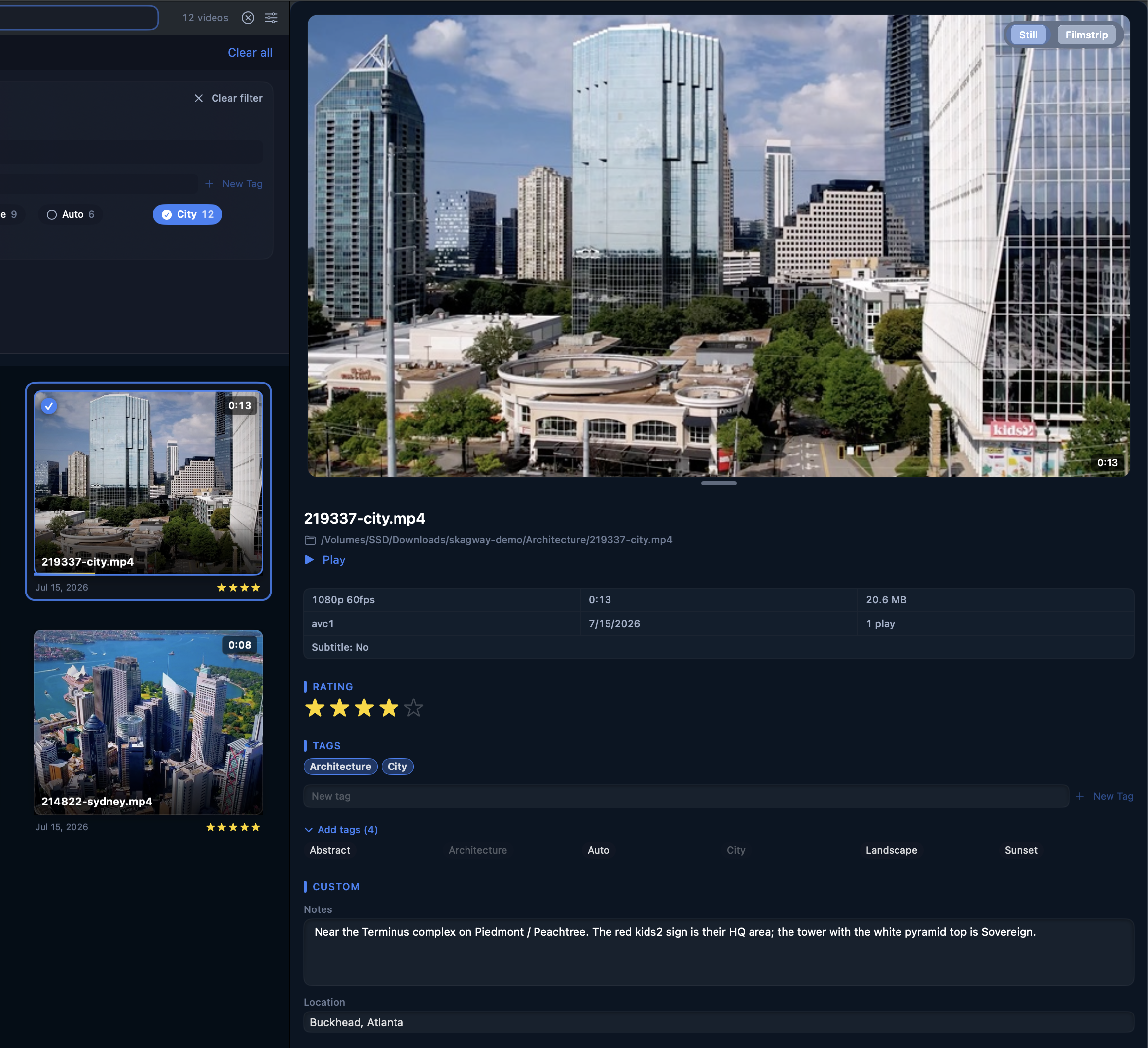 Skagway Inspector with rating stars, tag chips, subtitles picker, and custom metadata fields