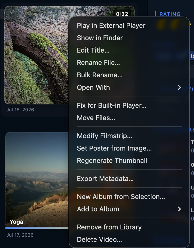 Skagway grid context menu with Bulk Rename…, Move Files…, and Fix for Built-in Player…