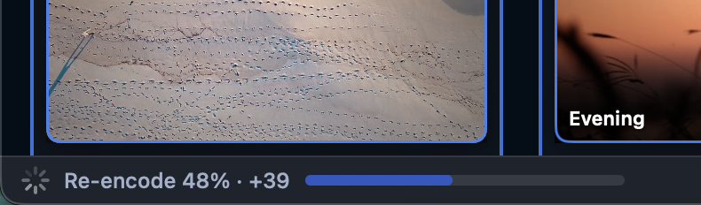 Skagway bottom activity strip showing move or re-encode progress
